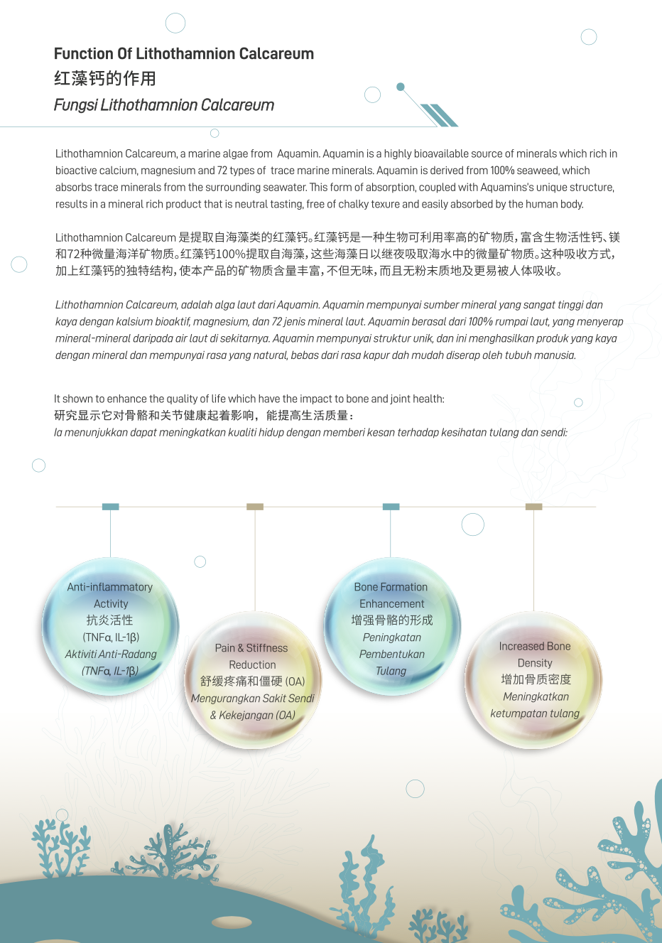 BIOBAY Coral Calcium Plus 120 capsules