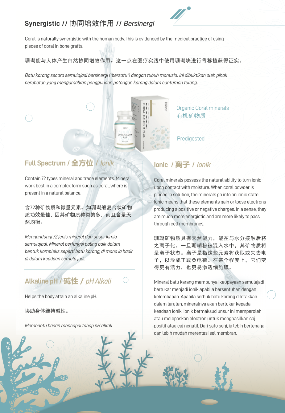 BIOBAY Coral Calcium Plus 120 capsules